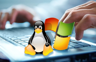 Web Hosting hỗ trợ đa nền tảng Windows & Linux